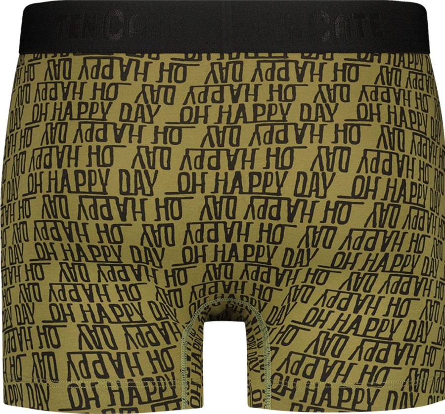 Heren Ten Cate Boxershorts | Ten Cate Heren 2-Pack Basic Short Happy Day Green 3221