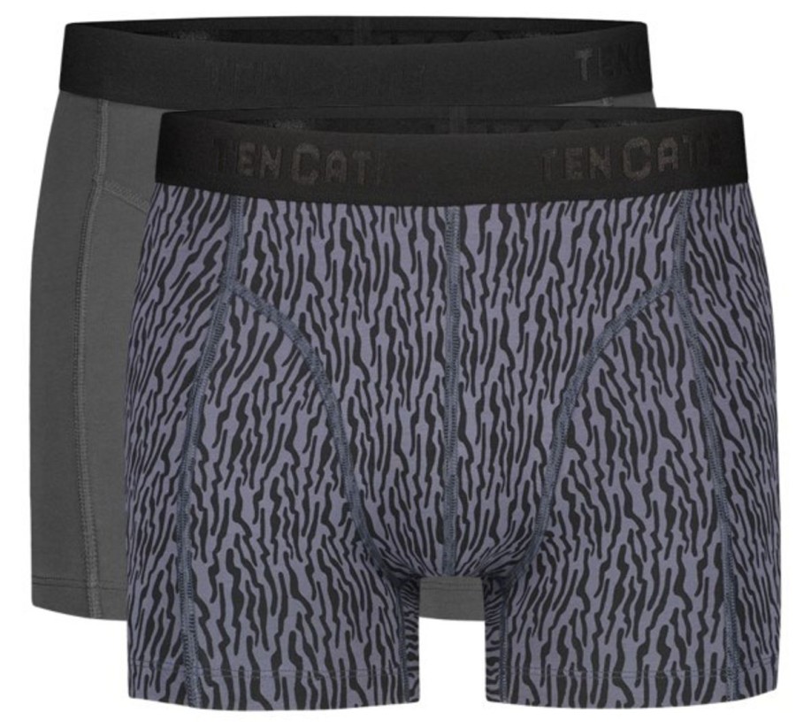 Heren Ten Cate Boxershorts | Ten Cate Heren 2-Pack Basic Short Cool Lines Grey 3215