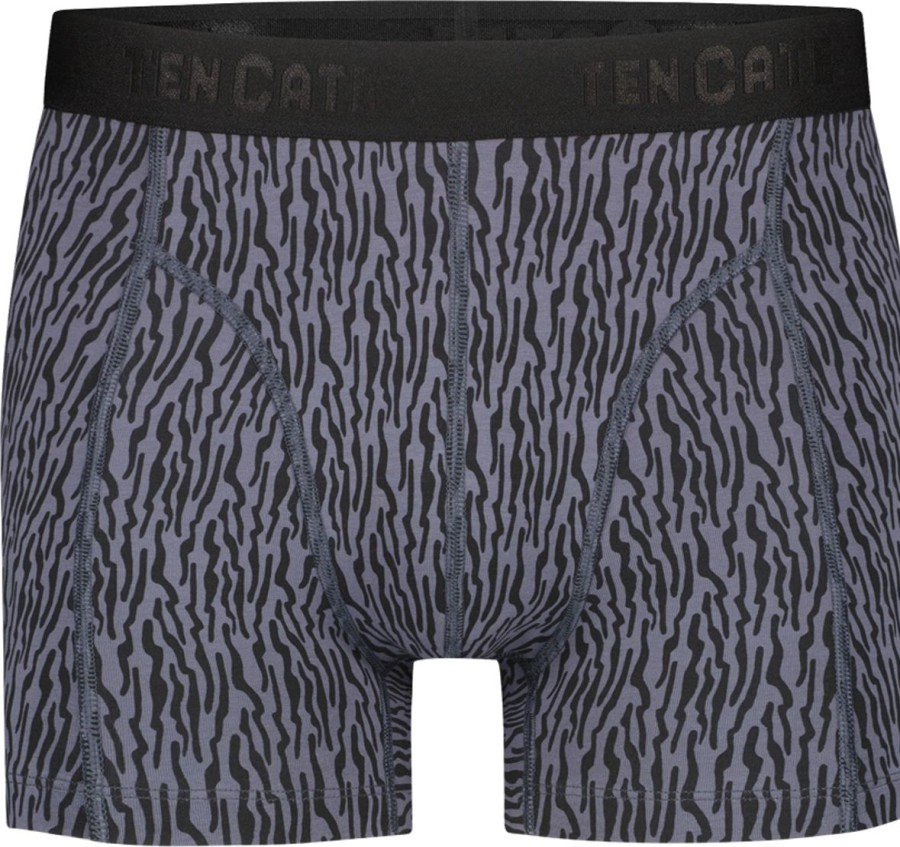 Heren Ten Cate Boxershorts | Ten Cate Heren 2-Pack Basic Short Cool Lines Grey 3215